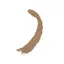 14 - ALMOND