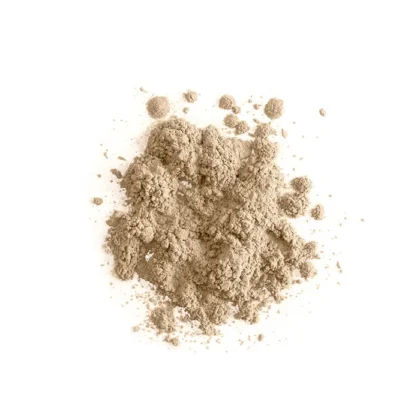 BISSÚ Polvo Translucido